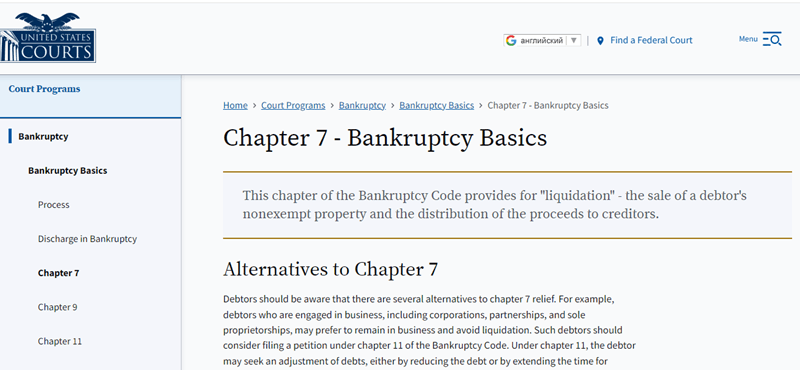 Bankruptcy, Chapter 7
