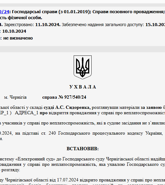 Судове рішення №927/540/24