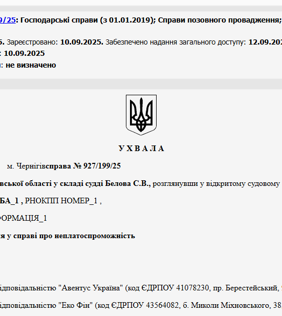 Судове рішення №927/199/25