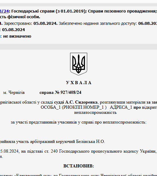 Судове рішення №927/408/24