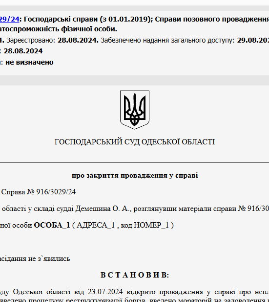 Судове рішення №916/3029/24